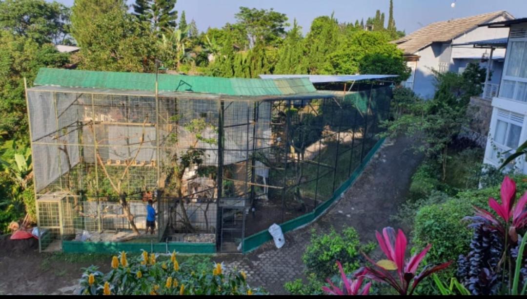 Villa Chacha At Macarena, Megamendung 外观 照片